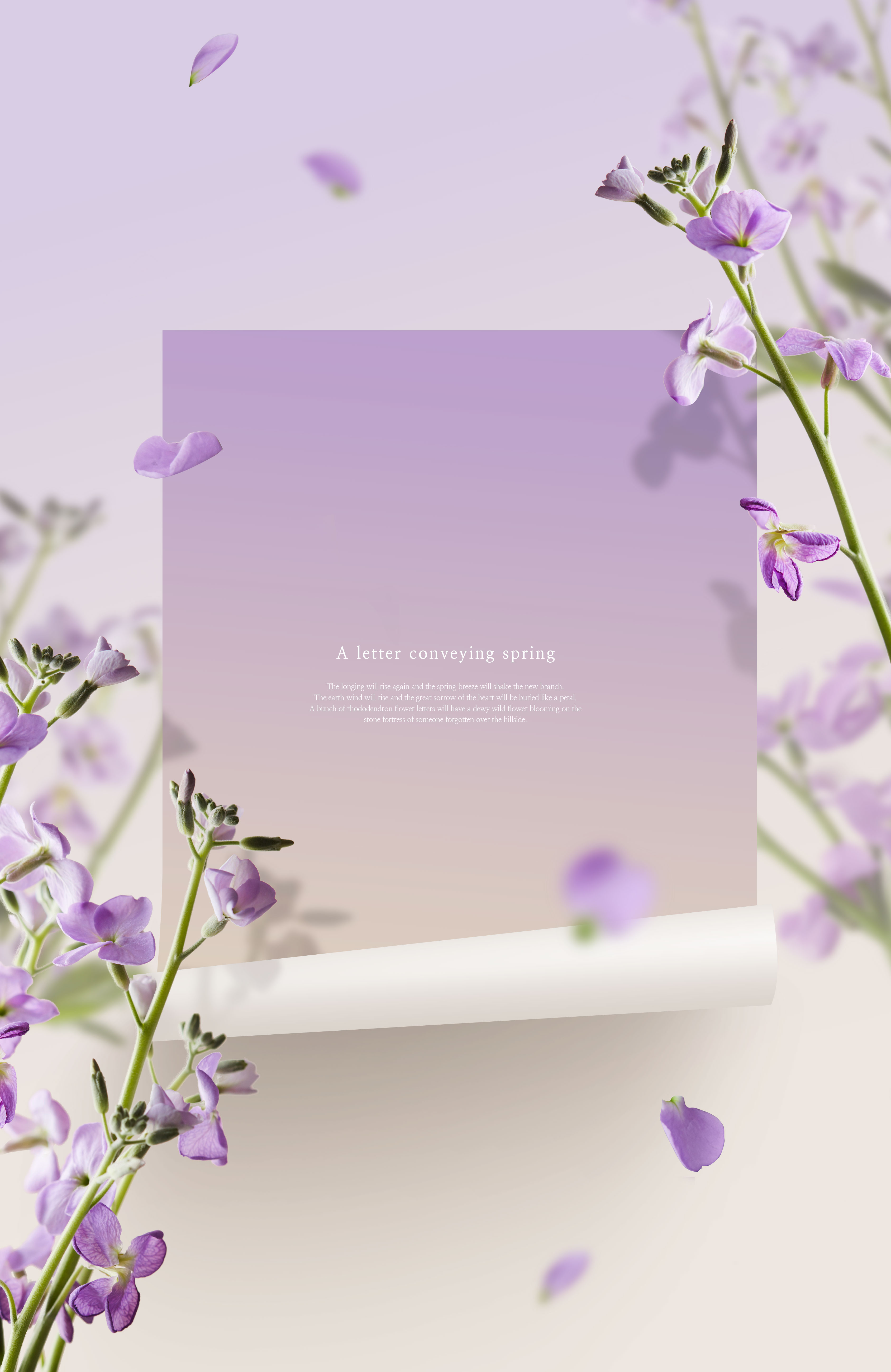 紫丁香-春天花卉主题海报/贺卡/信纸设计psd素材插图