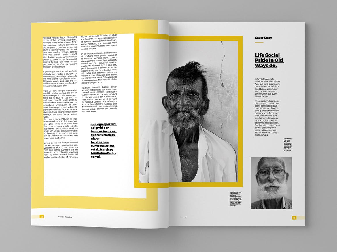 新闻采访/人物杂志设计INDD模板 Gooldie – Magazine Template插图(7)