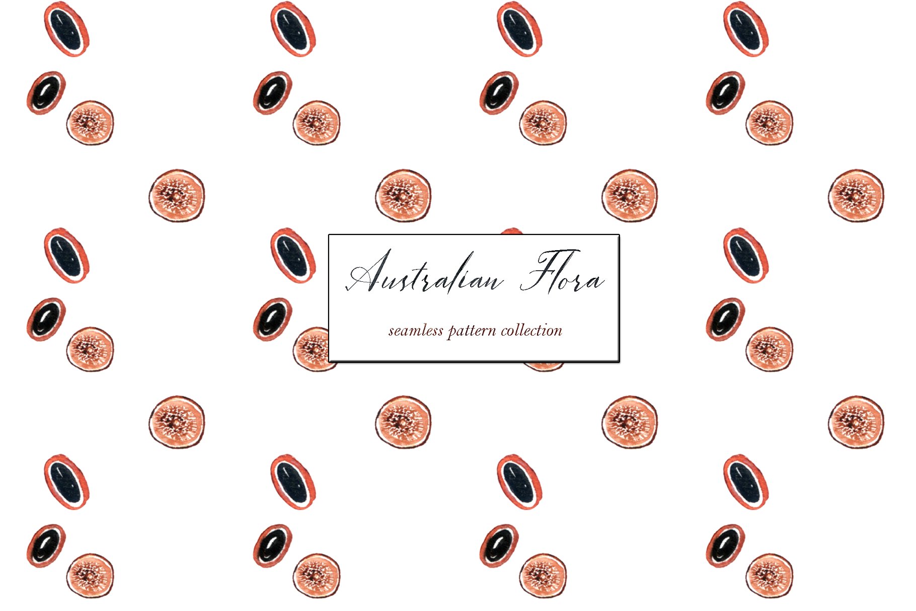 澳大利亚植物水彩剪贴画 Australian Flora Premium watercolor插图(10)