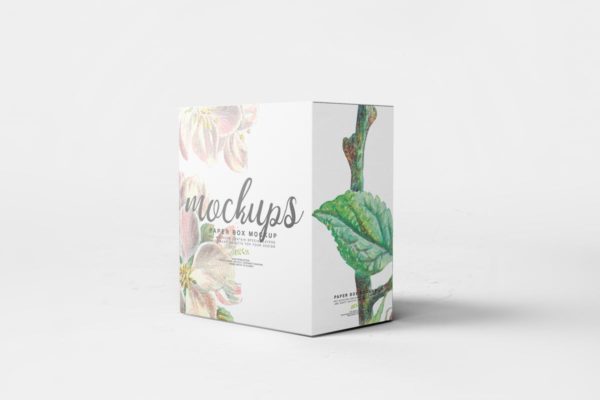 纸盒包装外观设计样机模板11 Paper Box Mockup 11