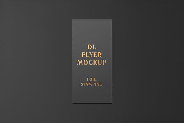 高端烫金文字铝箔DL传单样机 DL Flyer With Foil Stamping Mockup插图(1)