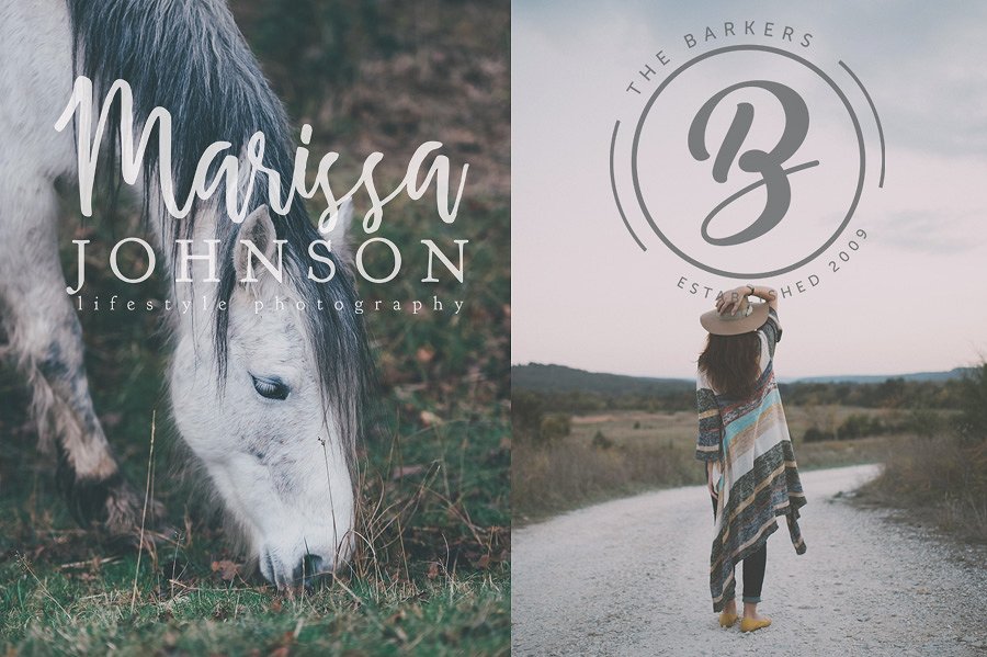 英文手绘字体Logo合集7 Logo Set 7插图(3)