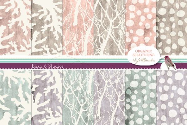 有机植物水彩图案素材 Organic Objects &amp; Watercolor Texture