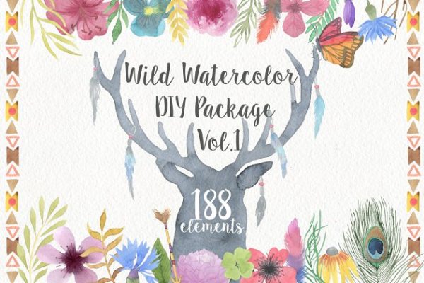 手绘水彩野生动植物插画素材 Wild Watercolor DIY Pro