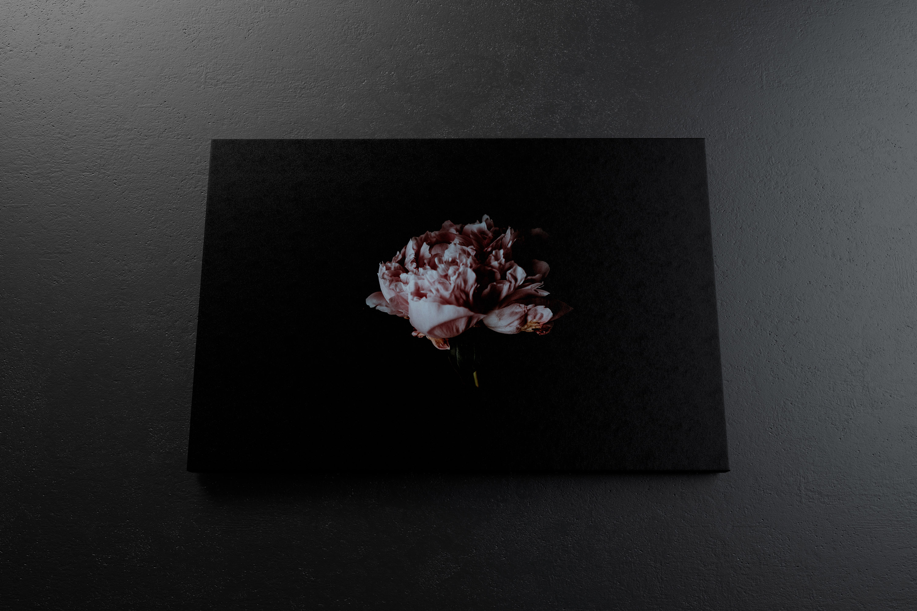 挂墙画布画框相片&绘画作品展览底面视图样机 3:2 Landscape Canvas Mockup Hanging on Wall, Bottom Front View插图(3)