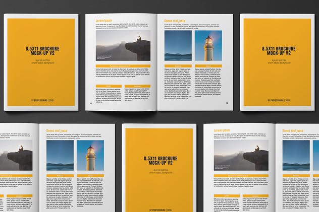 企业商务画册/目录样机 8.5×11 Brochure / Catalogue Mock-up插图(4)