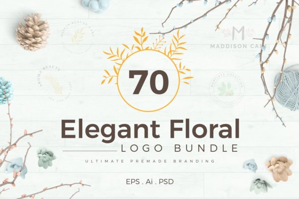 70款优雅花卉装饰标志设计模板素材 70 Elegant Floral Logo Pack