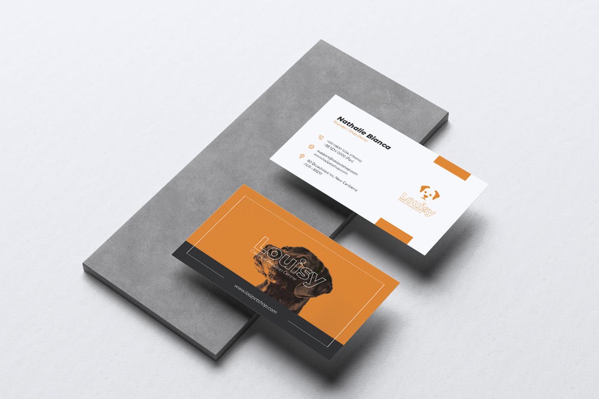 宠物店业务传单&素材库精选名片模板 LOSI Pet Shop Business Flyer & Business Card插图(2)