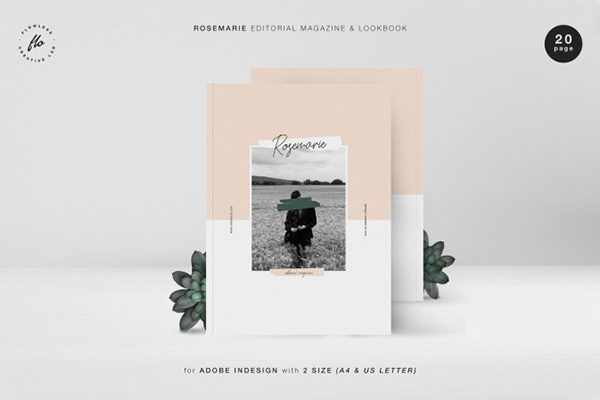 20页时尚、极简的摄影类杂志模板下载[indd]