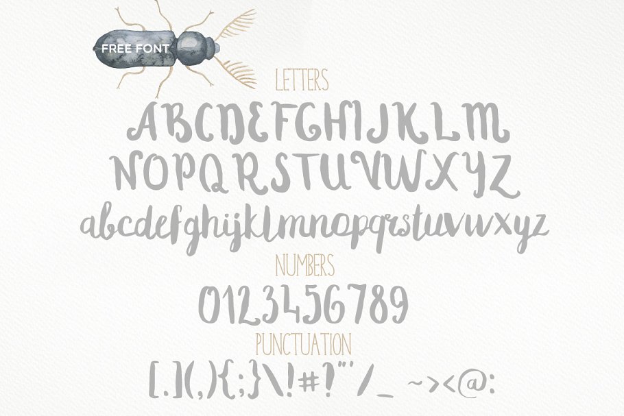 冒险之旅水彩素材合集（飞禽走兽、昆虫元素、纹理&额外的字体） Safari Watercolor Collection Pro插图(2)