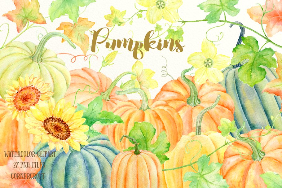 南瓜(藤、叶子&花)水彩剪贴画、纹理 Watercolour Clipart Pumpkins插图