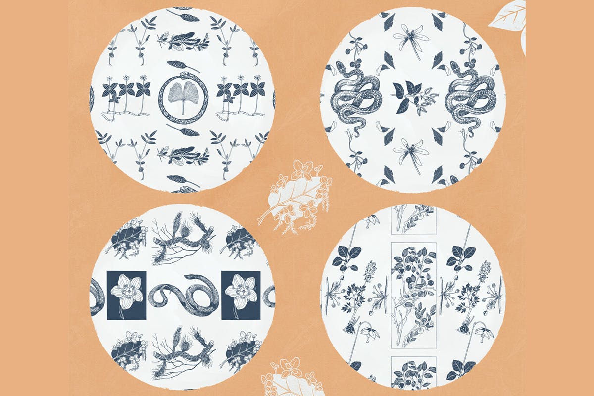 植物学与蛇自然主题无缝图案背景素材 Botany And Snakes Natural Patterns插图(2)