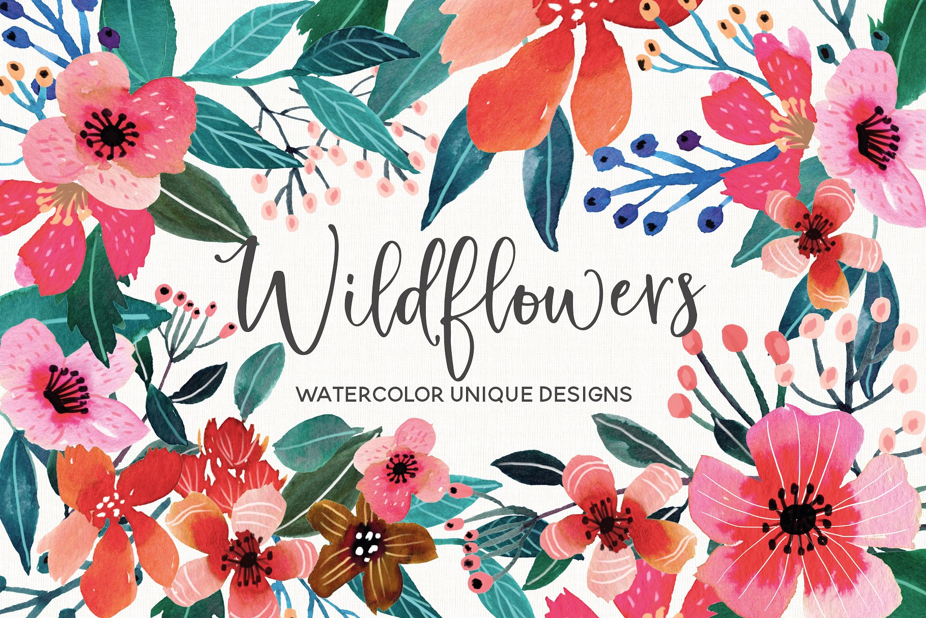 艳丽野花水彩插画集 Wildflowers Watercolor Collection插图