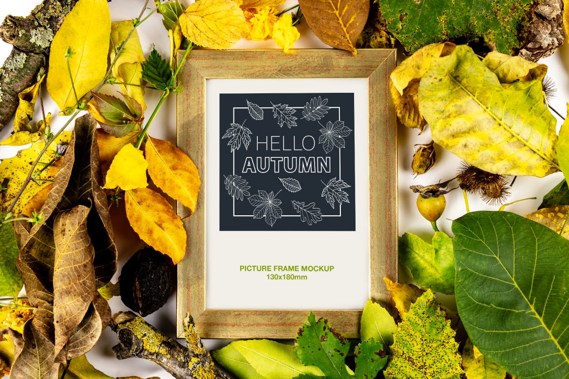 带有秋天秋季树叶落叶场景的海报宣传单DM设计VI样机展示模型mockups插图(4)