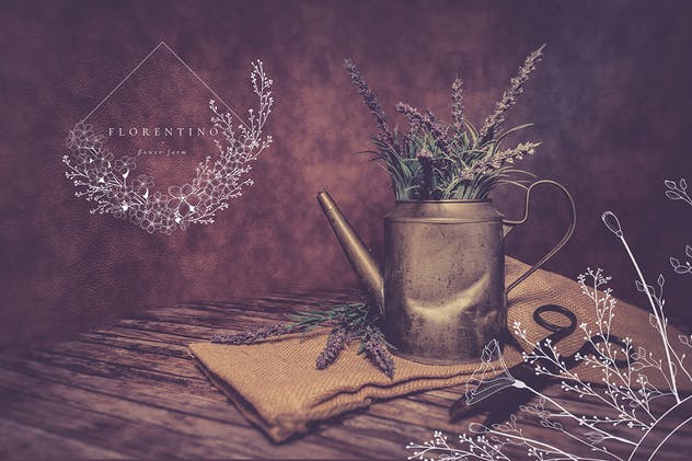 手绘花式单字字母和Logo设计素材收藏 Flowered Monogram & Logo Collection插图(7)