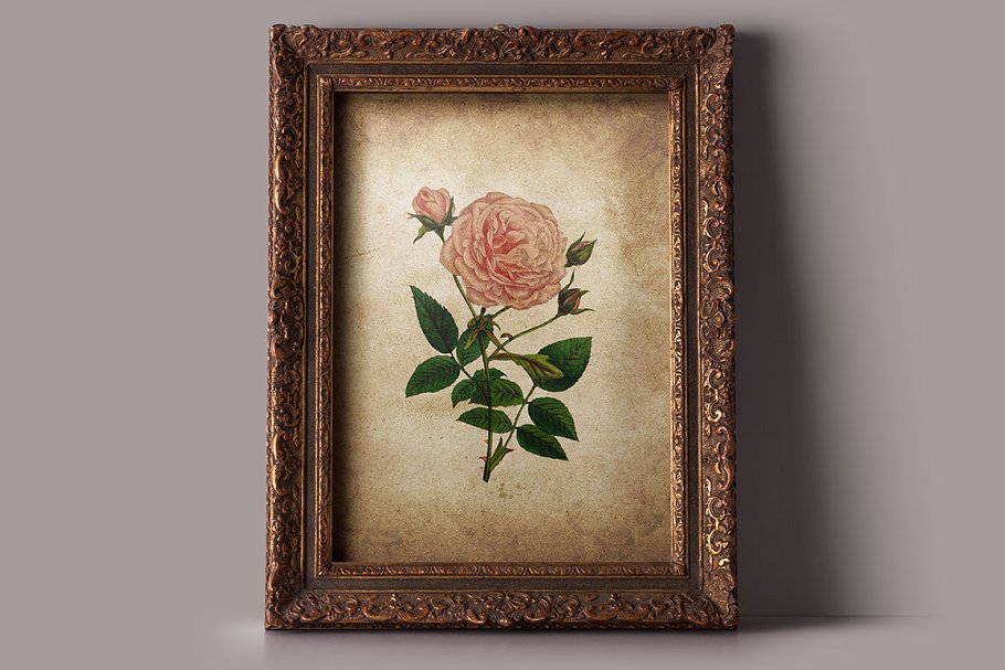 复古做旧纸张纹理 Vintage Paper Textures Effervescent插图(6)