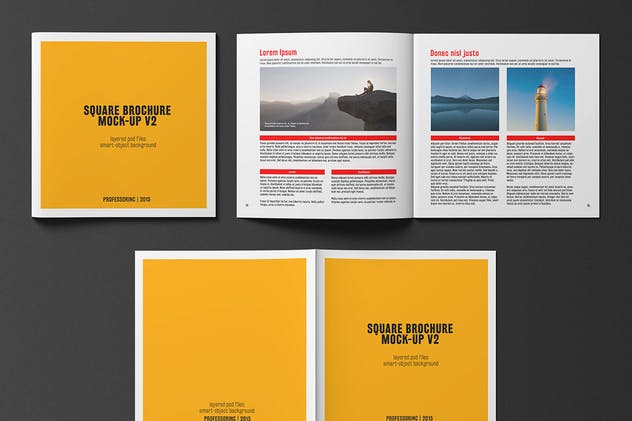 画册目录手册样机模板 Square Brochure / Catalogue Mock-Up插图(8)