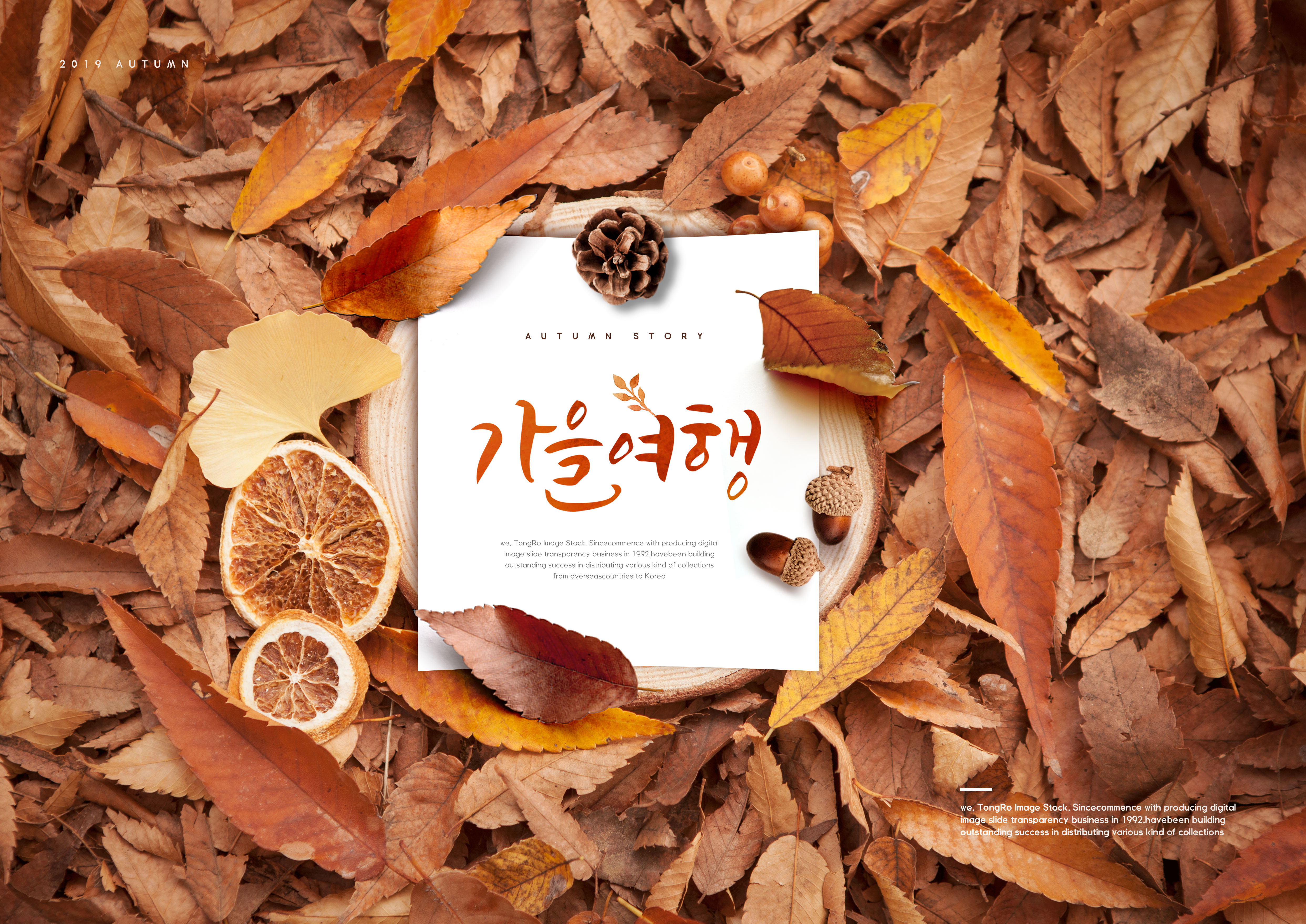 秋季落叶主题海报模板套装[PSD]插图(5)