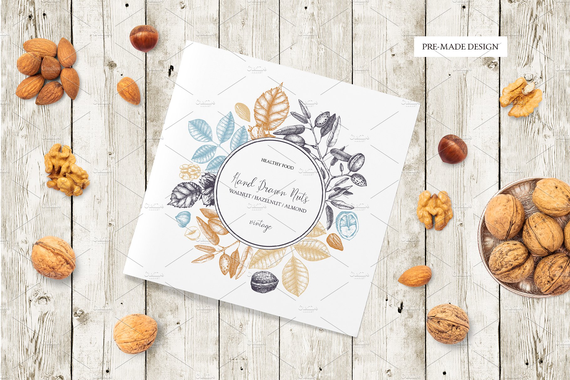 杏仁/榛子/核桃矢量插画套装 Vector Almond, Hazelnut & Walnut Set插图(7)