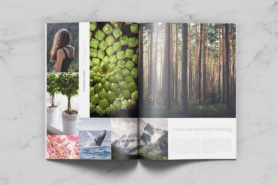 通用杂志模板 Minimal Universal Magazine插图