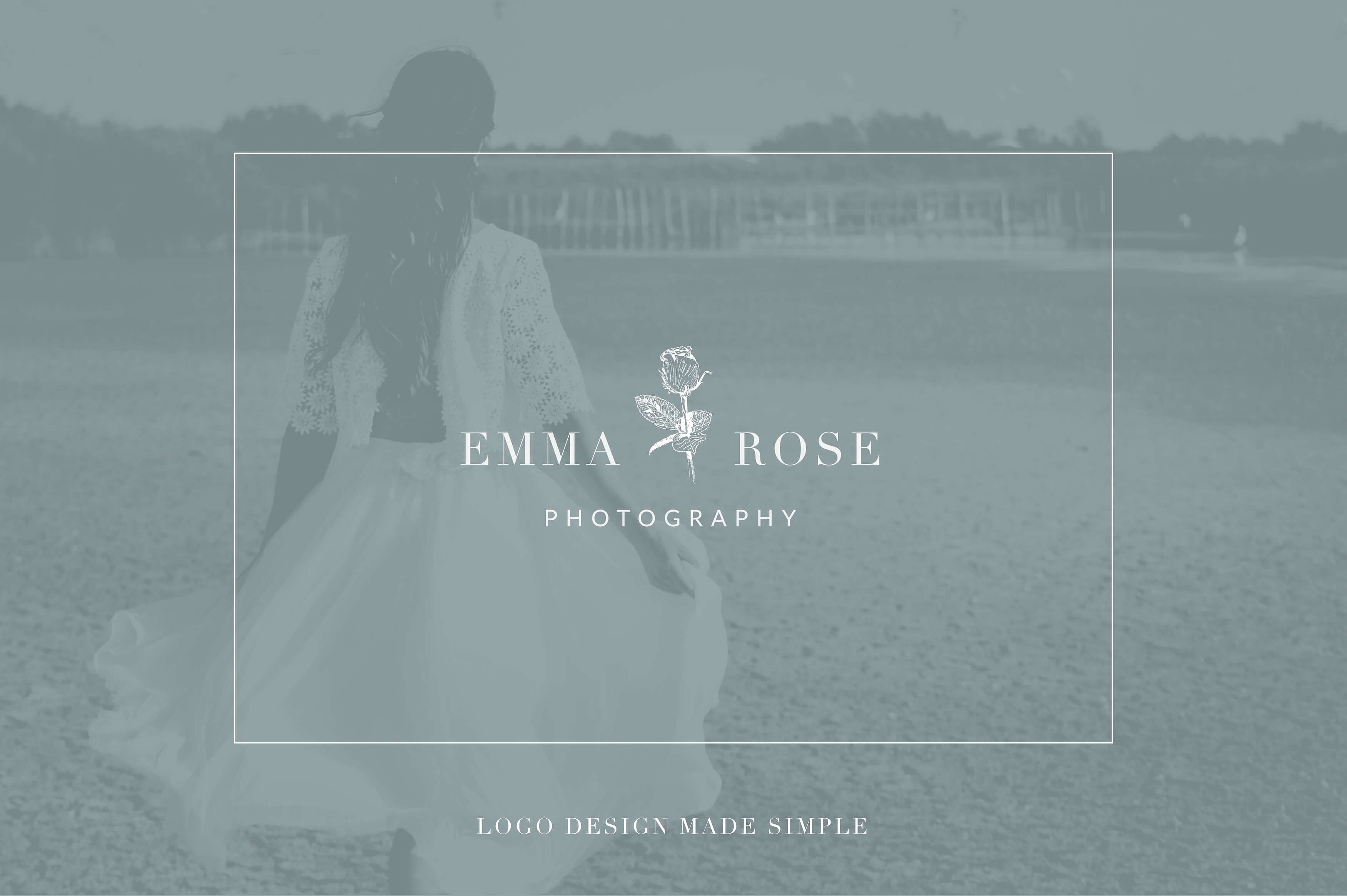 植物学手绘插画第2卷 Botanical Illustrations Vol.2插图(4)