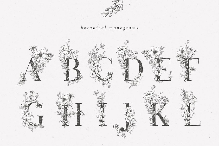 乡土气息植物、手绘字体&花卉字体 Botanical Illustrations & Monograms插图(2)
