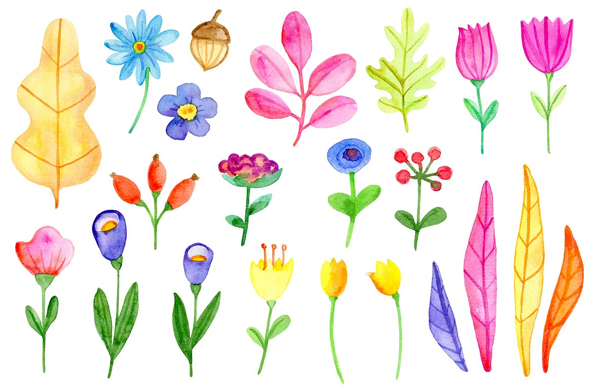 水彩手绘秋天花卉图案PNG素材 Fall Colors Watercolor Design Kit插图(11)