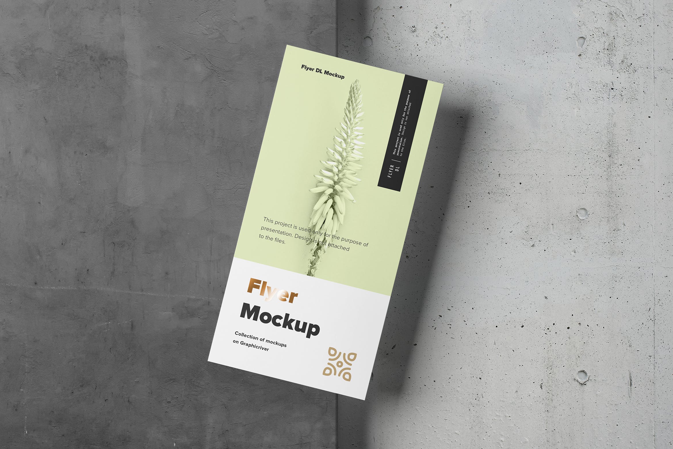 传单设计印刷效果图样机素材库精选模板 Flyer Mock-up插图