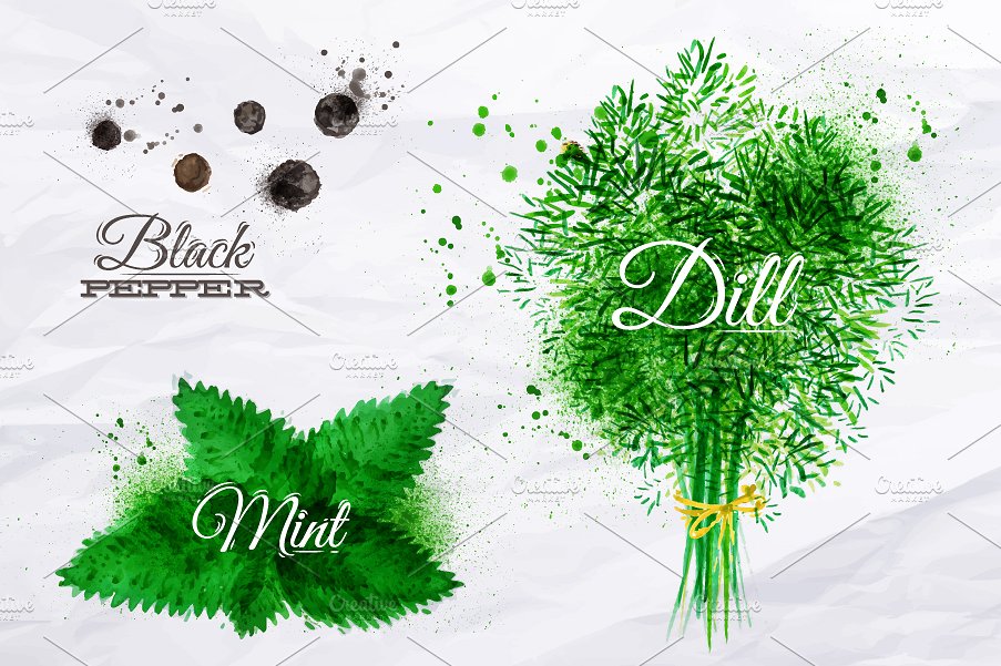 药草香料水彩插画 Herbs spices watercolor插图(3)
