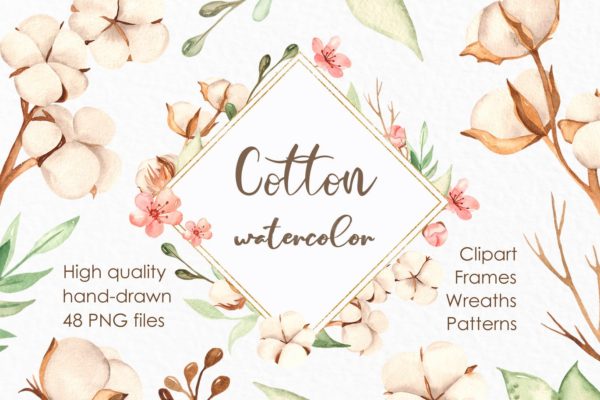 水彩棉花手绘剪贴画/花框/花环素材库精选设计素材 Watercolor cotton. Clipart, frames, wreaths