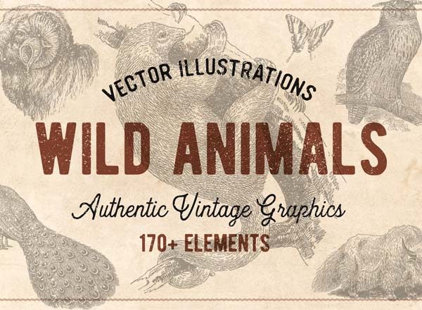 176个复古野生动物手绘（矢量）