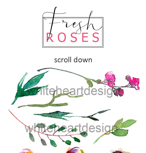 春季水彩花卉剪贴画 Spring Watercolor Florals Clipart插图(2)