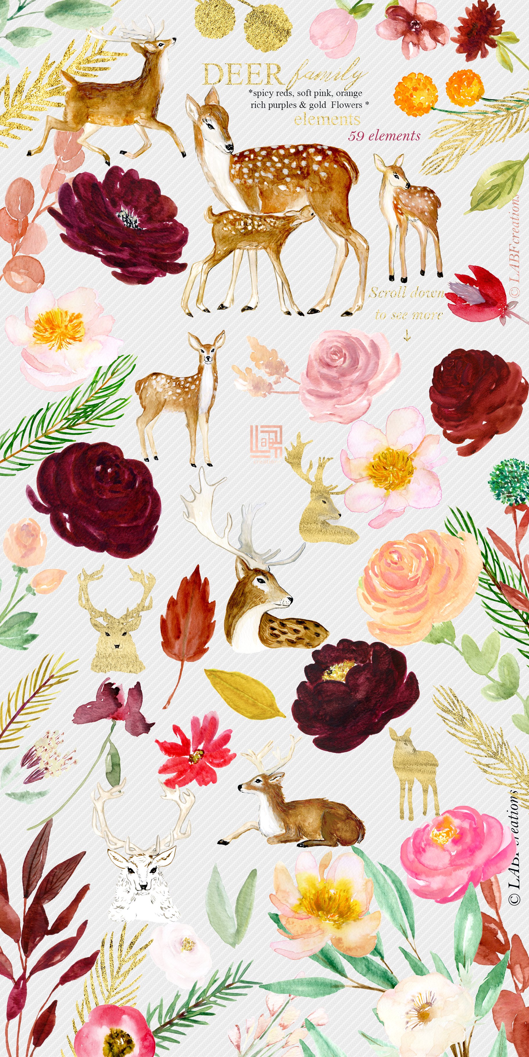 鹿家族/香辣红/橙金水彩手绘剪贴画 Deer family. Spicy red, orange gold插图(8)