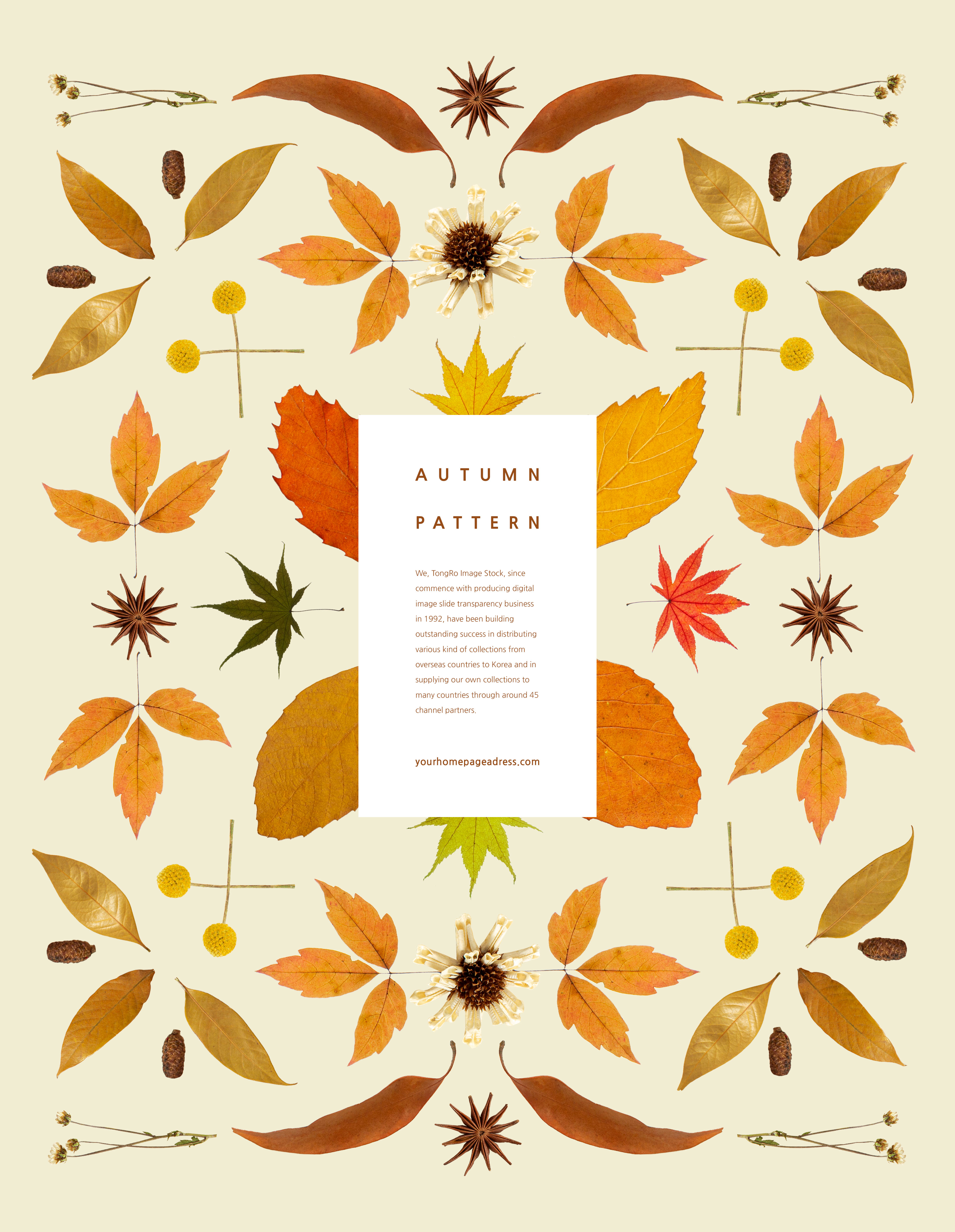秋天主题叶子元素图案背景素材合集[PSD]插图(2)