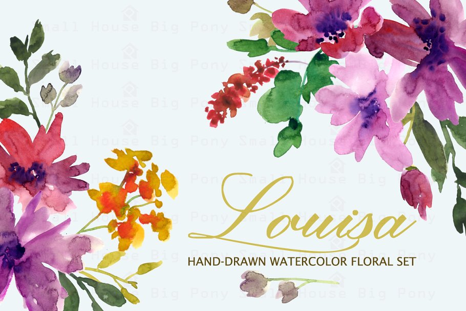 手绘水彩花卉剪贴画 Louisa- Watercolor Clip Art Set插图(1)
