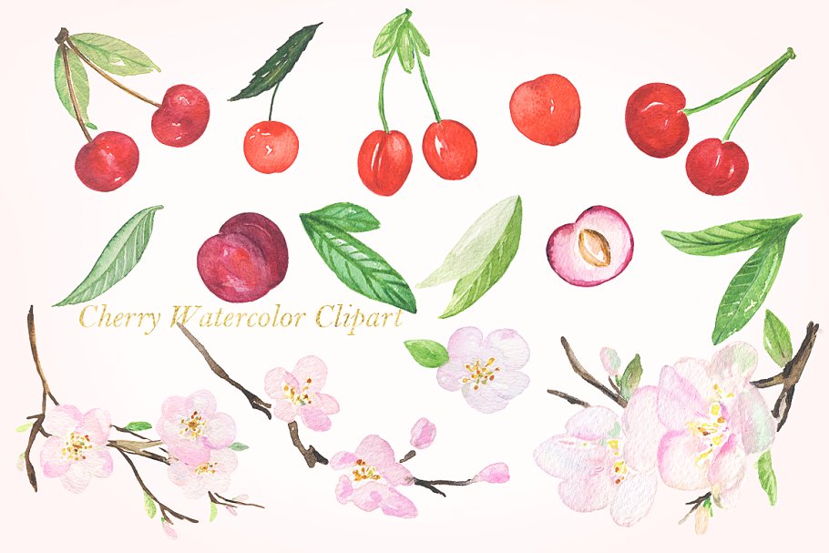 甜美的手绘樱桃樱花水彩剪贴画 Cherry flowers. Waterolor clipart.插图(3)