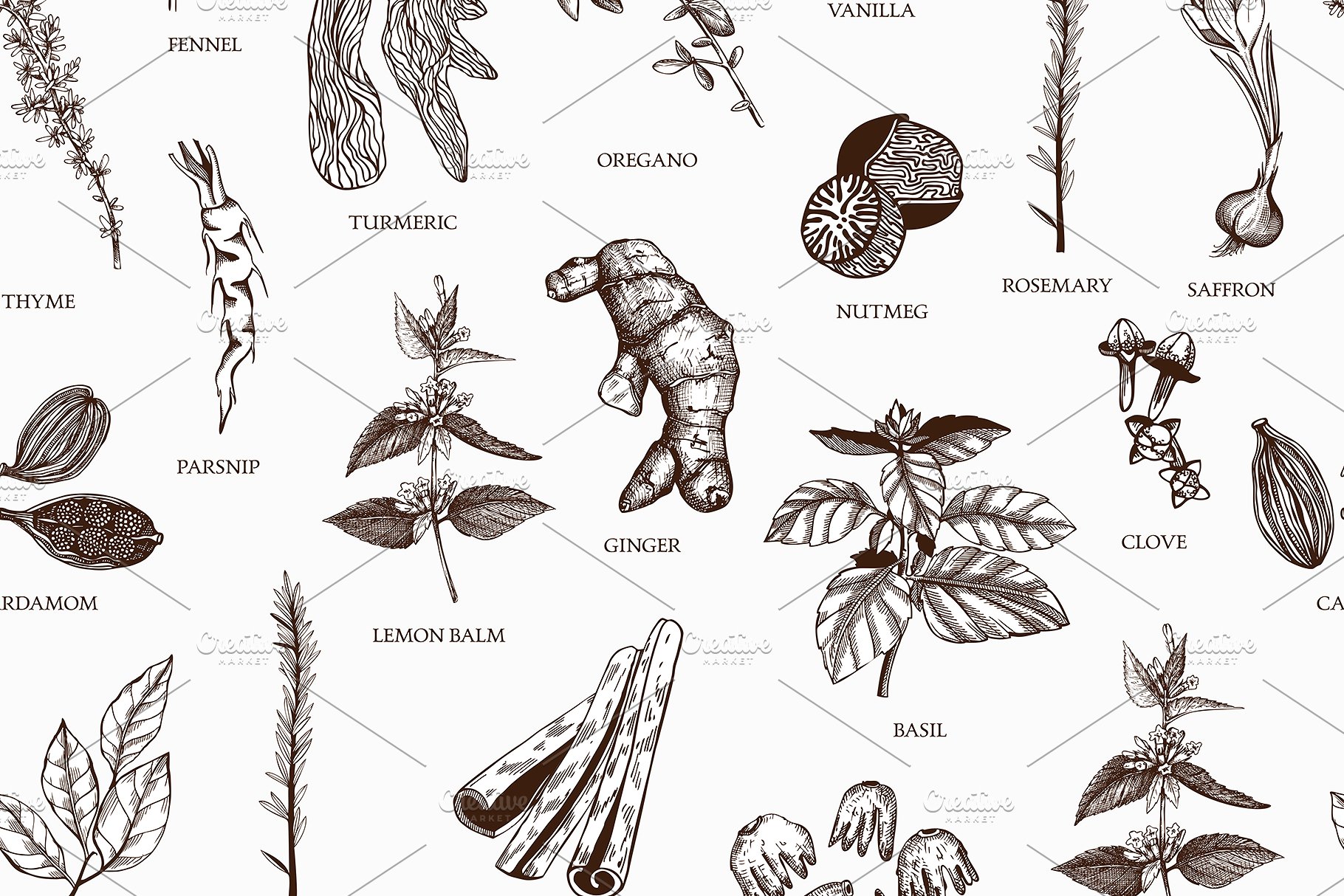 厨房香料及香草矢量插画 Vector Kitchen Spice & Herbs Set插图(10)