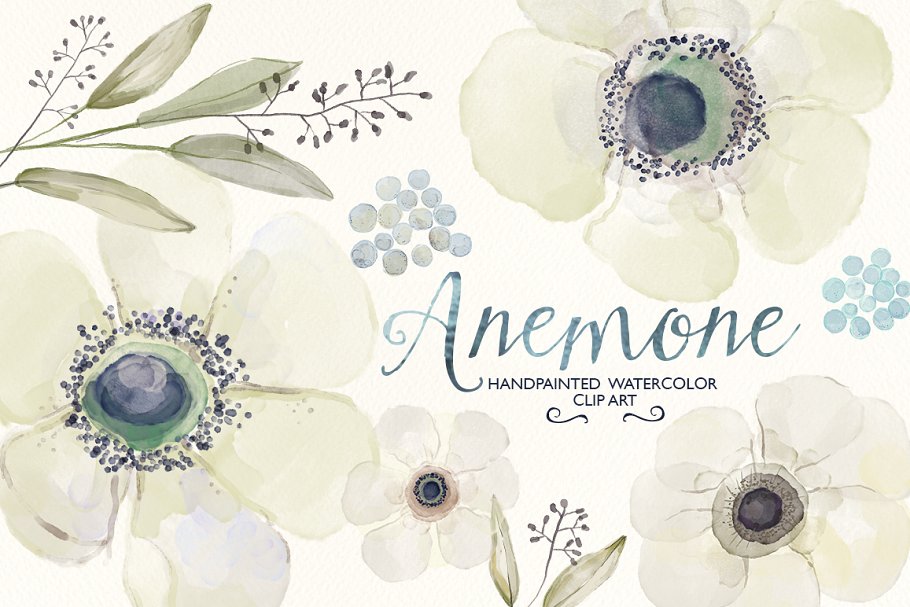 毛茛属植物水彩插画素材 Watercolor ranunculus clip art插图