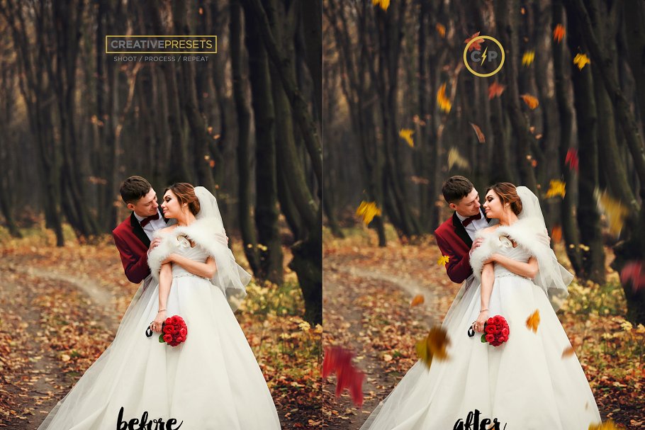 秋季枫叶落叶叠层背景 Falling Leaves Overlays插图(4)