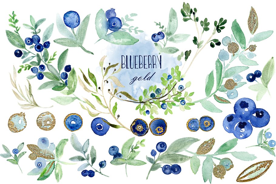 优雅水彩蓝莓插画剪贴画 Blueberry gold. Watercolors插图(3)