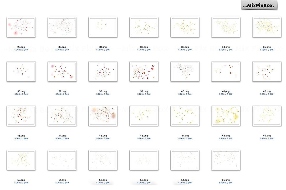花瓣照片特效叠层插图(6)