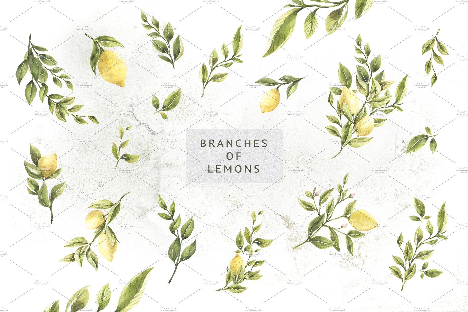 柠檬&绿色枝叶水彩插画 Lemons & Greens插图(2)