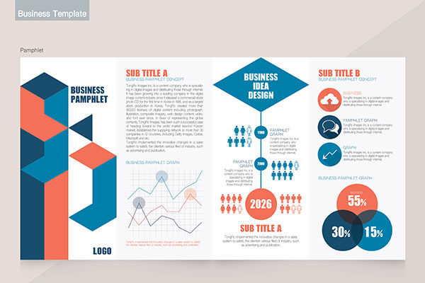 信息图表人口普查商业传单设计模板