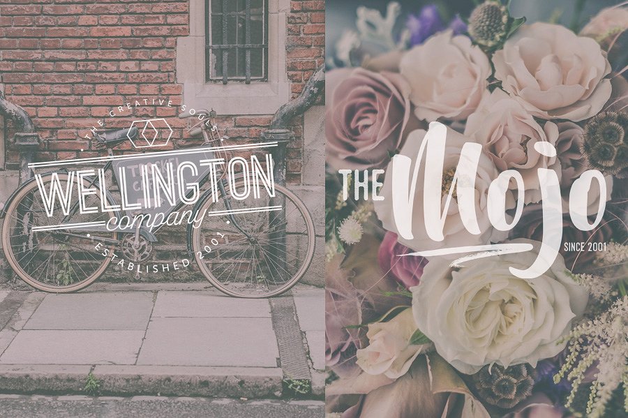 英文手绘字体Logo合集7 Logo Set 7插图(4)