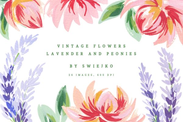 古典手绘牡丹薰衣草插画素材 Lavender &amp; Peonies, vintage flowers