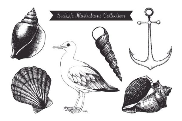 复古墨水手绘海洋生物插图 Vintage Sea Designs &amp; Patterns