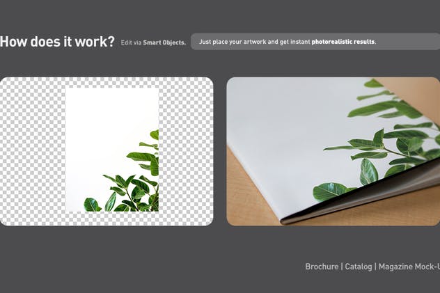 宣传册/小册子/目录设计预览样机素材库精选模板 Brochure / Booklet / Catalog Mock-Up PSD插图(4)
