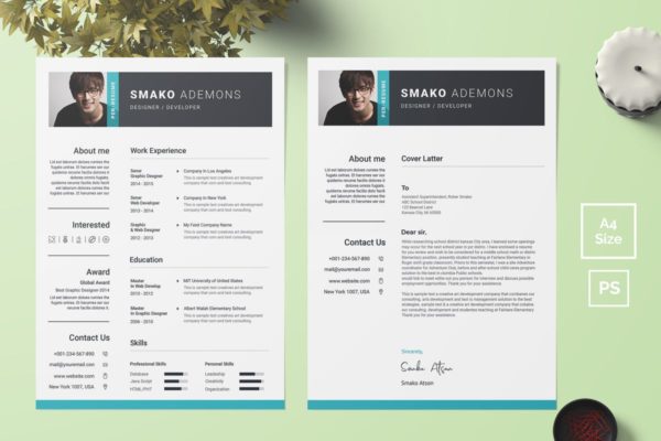 个人应聘简历&amp;介绍信二合一多格式模板 Resume Template 38