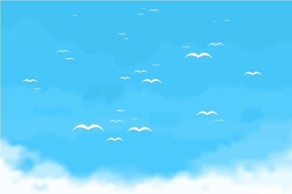 一群在空中飞翔的鸟 Sky birds