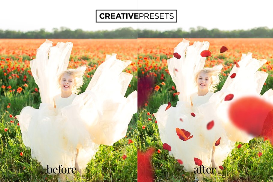 浪漫野生罂粟叶照片处理叠层 Wild Poppies Photo Overlays插图(1)